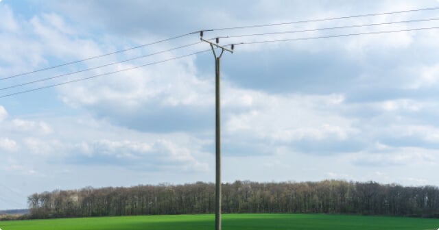 A wooden utility pole on a green field near a forest.